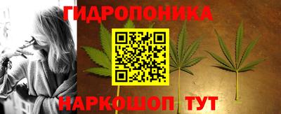 Альфа ПВП Краснознаменск