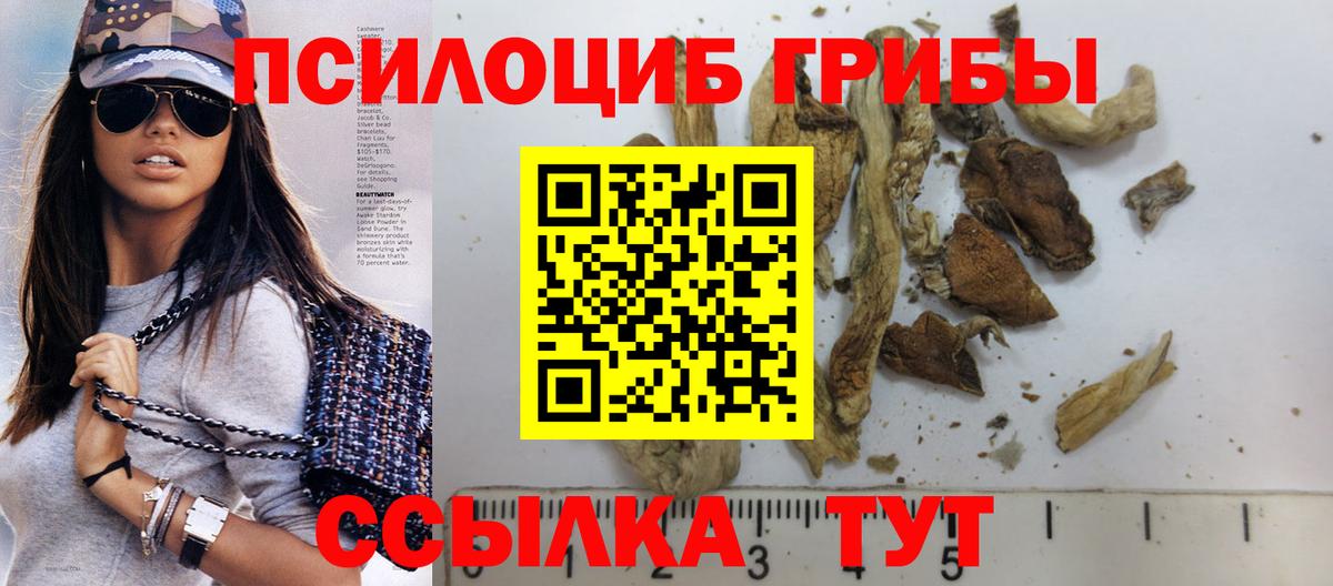 Галлюциногенные грибы MAGIC MUSHROOMS  Вход с VPN  Галлюциногенные грибы GOLDEN TEACHER  Кольчугино 