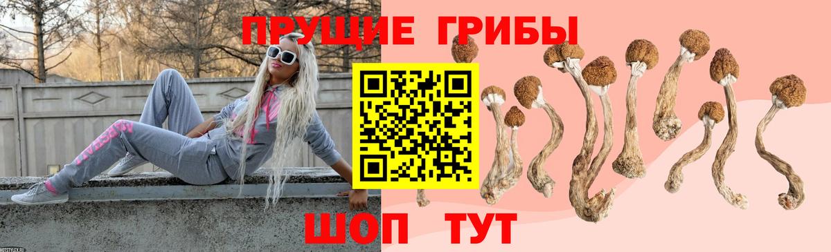 Галлюциногенные грибы GOLDEN TEACHER Кольчугино